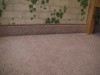 CAM 0099
